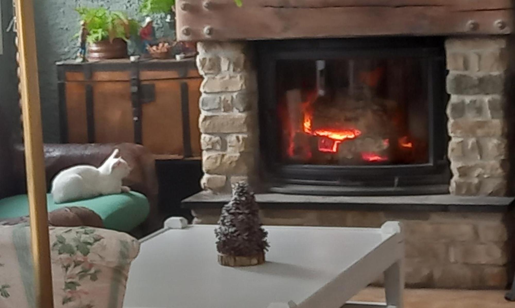 B&B Le Camelie Del Bosco Baiardo Екстериор снимка