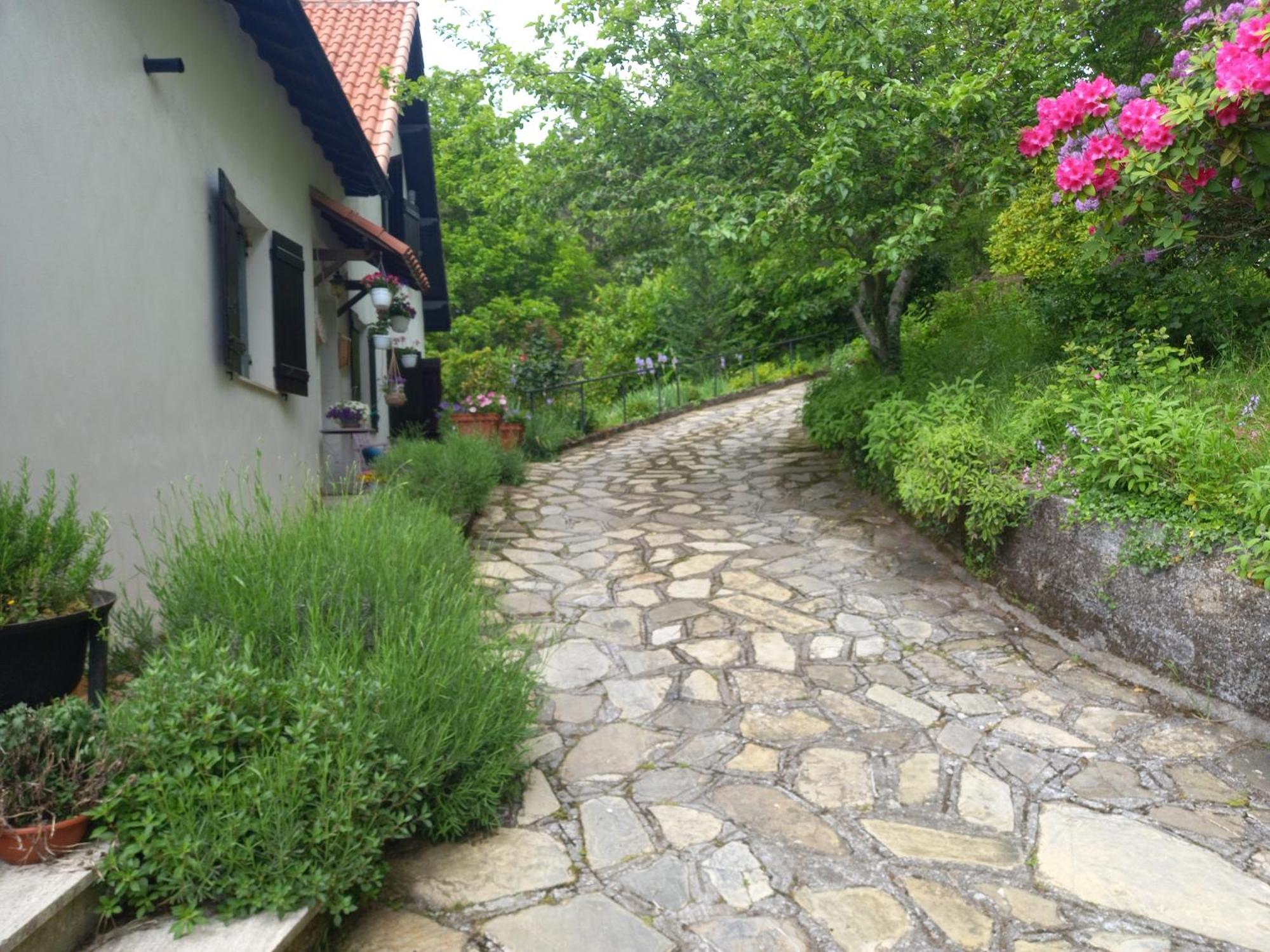 B&B Le Camelie Del Bosco Baiardo Екстериор снимка
