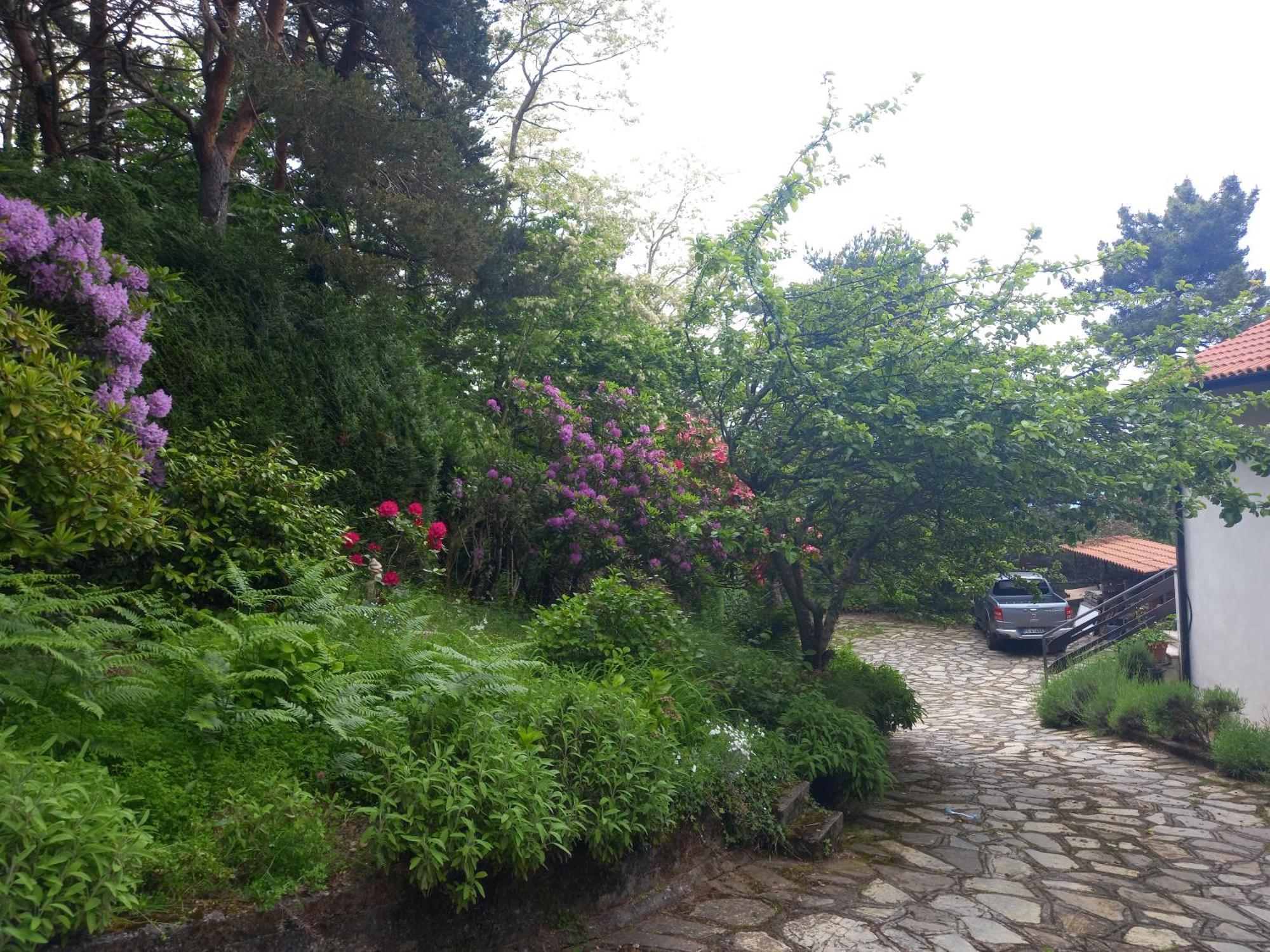 B&B Le Camelie Del Bosco Baiardo Екстериор снимка