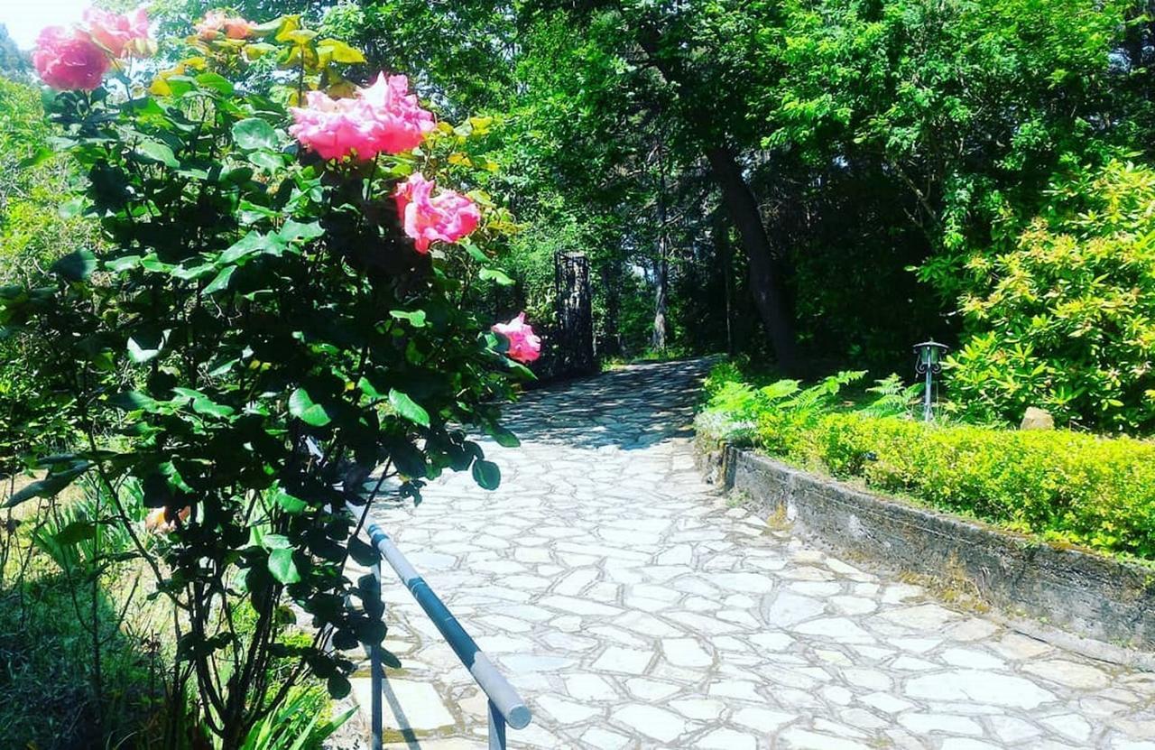 B&B Le Camelie Del Bosco Baiardo Екстериор снимка